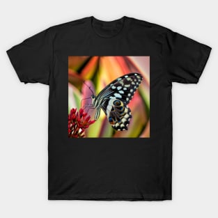 Citrus Swallowtail Butterfly | African Wildlife T-Shirt